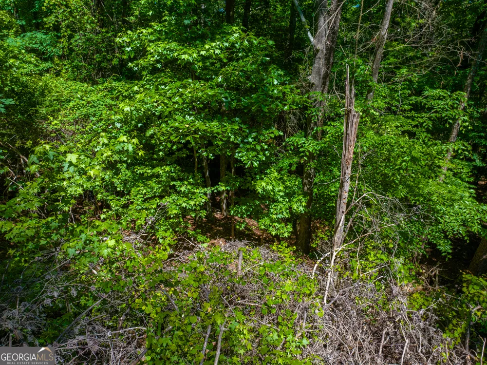 3.58 ACRES Stanfield DR LaFayette, GA 30728