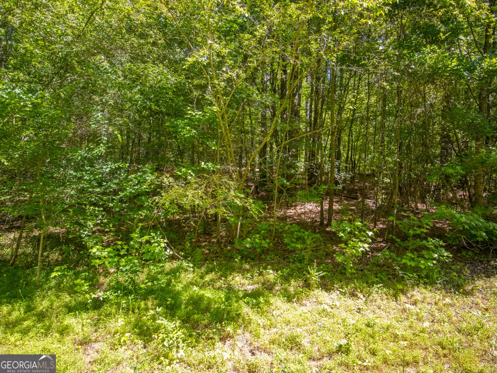 3.58 ACRES Stanfield DR LaFayette, GA 30728