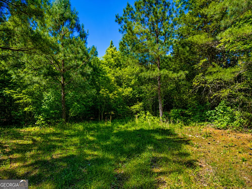 3.58 ACRES Stanfield DR LaFayette, GA 30728