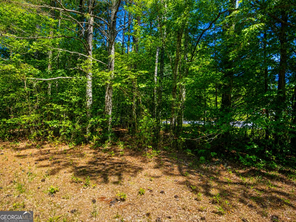 3.58 ACRES Stanfield DR LaFayette, GA 30728
