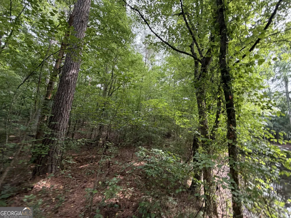 3.58 ACRES Stanfield DR LaFayette, GA 30728