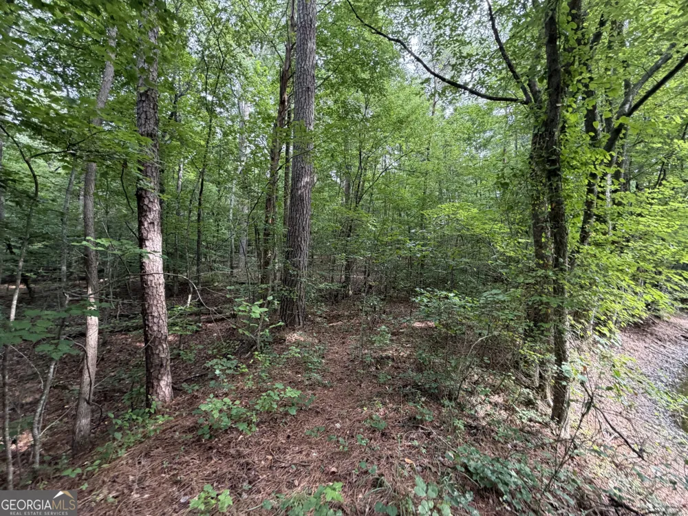 3.58 ACRES Stanfield DR LaFayette, GA 30728