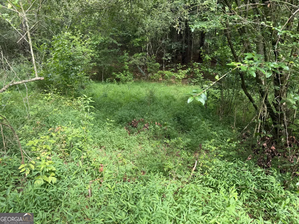 3.58 ACRES Stanfield DR LaFayette, GA 30728