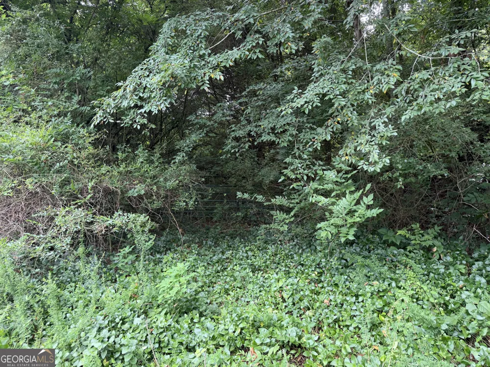 3.58 ACRES Stanfield DR LaFayette, GA 30728