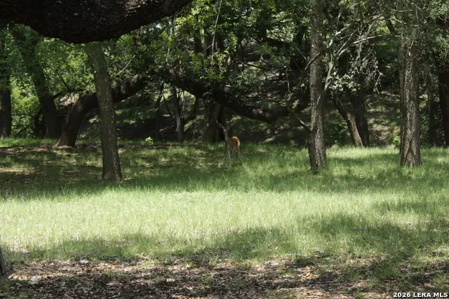 28 River Place Rd Rio Frio, TX 78879