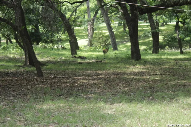 28 River Place Rd Rio Frio, TX 78879