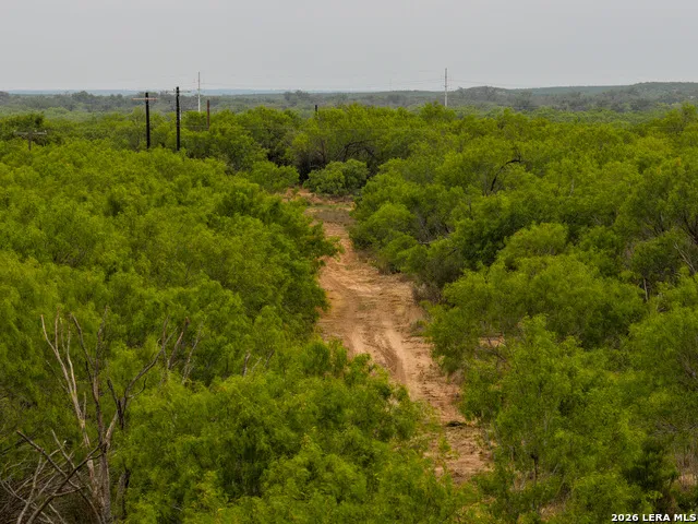 6 FM 1581 Pearsall, TX 78061