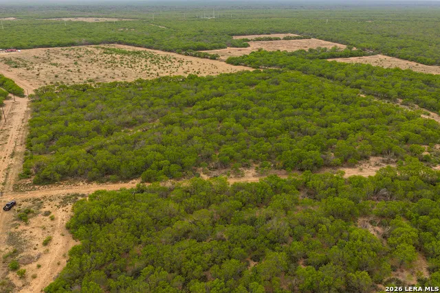6 FM 1581 Pearsall, TX 78061
