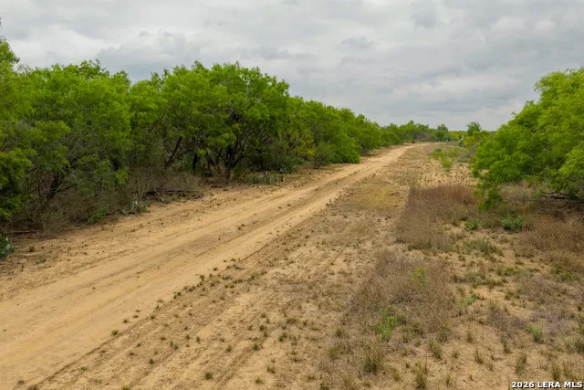 6 FM 1581 Pearsall, TX 78061