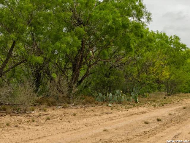 6 FM 1581 Pearsall, TX 78061