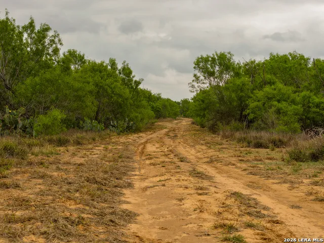 6 FM 1581 Pearsall, TX 78061
