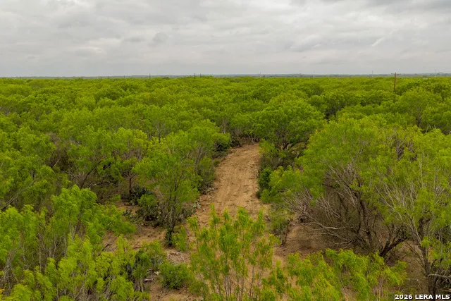6 FM 1581 Pearsall, TX 78061