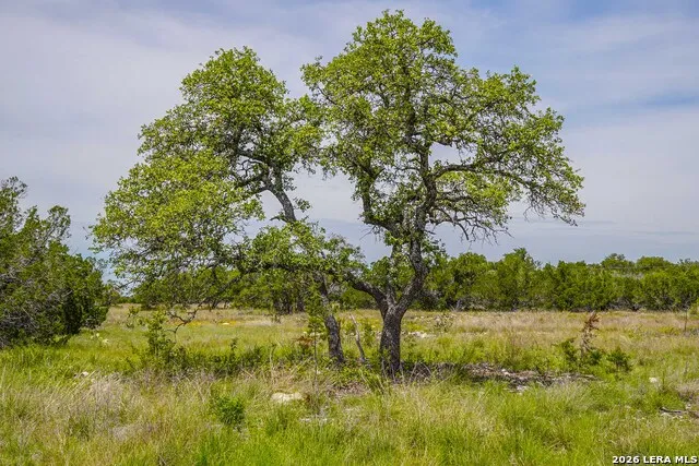 TBD CR 140 Junction, TX 76849