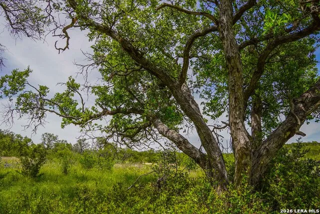 TBD CR 140 Junction, TX 76849