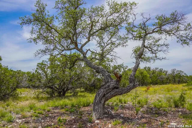 TBD CR 140 Junction, TX 76849