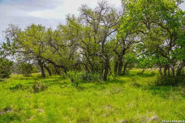 TBD CR 140 Junction, TX 76849