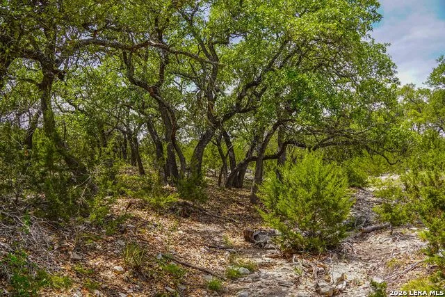 TBD CR 140 Junction, TX 76849