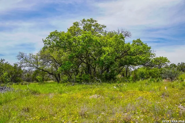 TBD CR 140 Junction, TX 76849