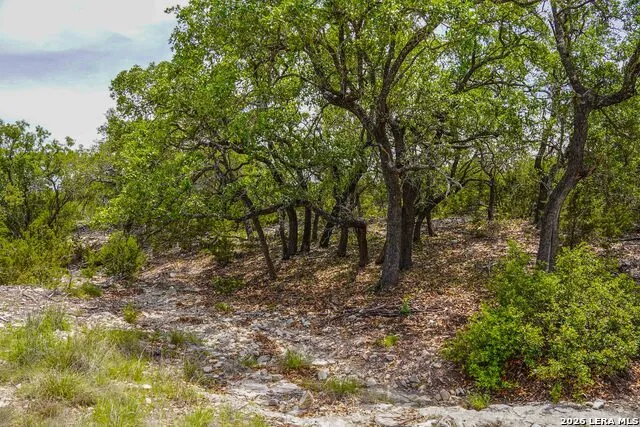 TBD CR 140 Junction, TX 76849