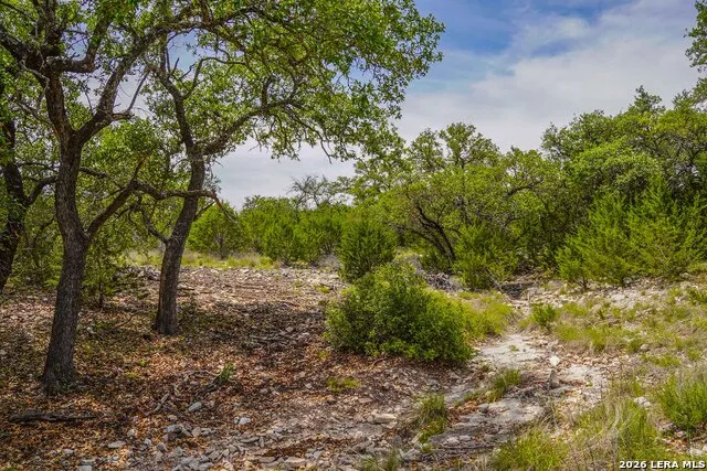 TBD CR 140 Junction, TX 76849