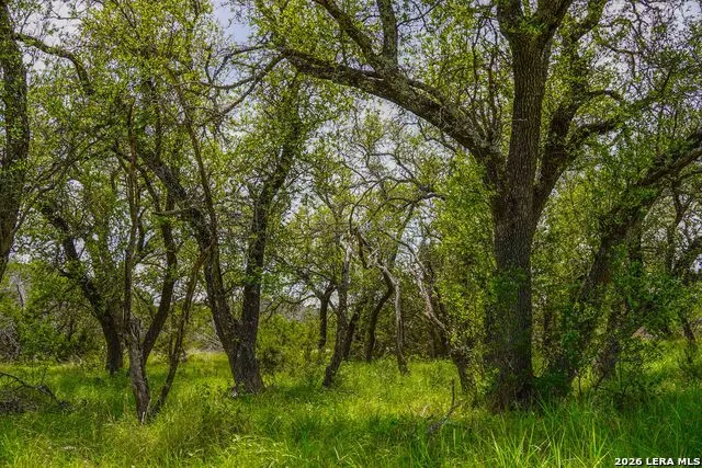 TBD CR 140 Junction, TX 76849