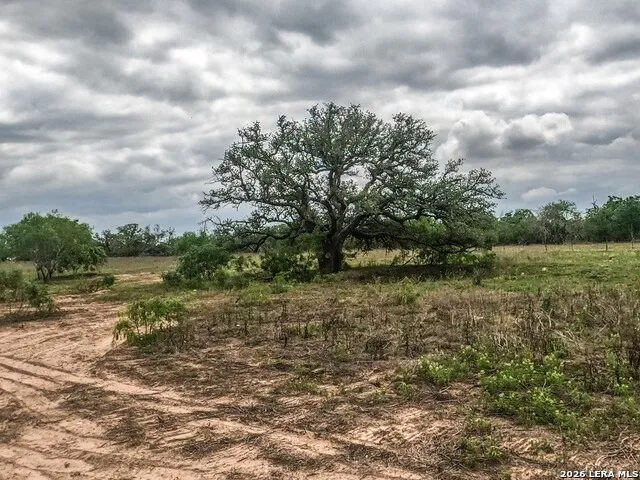 8933 County Road 401 Floresville, TX 78114