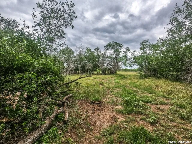 8933 County Road 401 Floresville, TX 78114