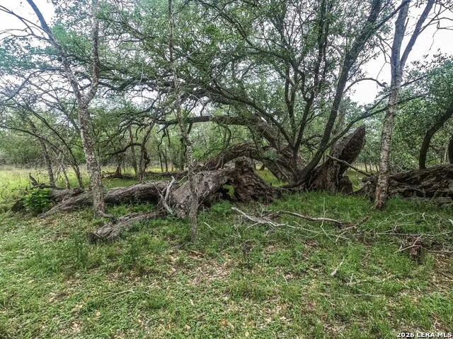 8933 County Road 401 Floresville, TX 78114