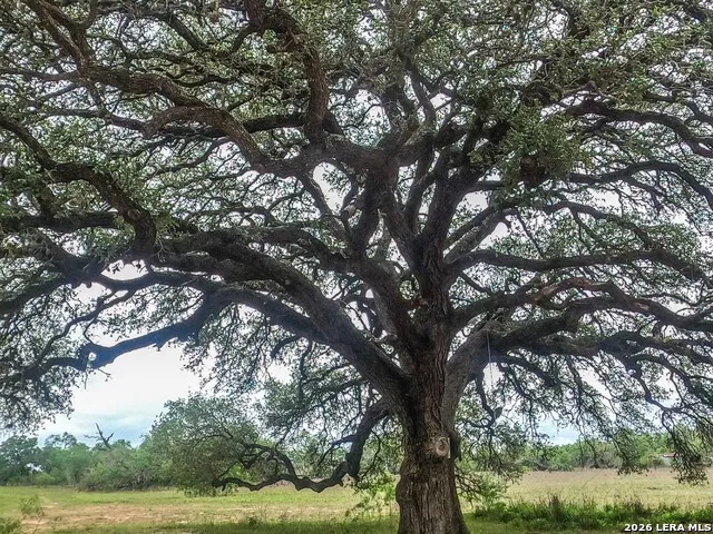 8933 County Road 401 Floresville, TX 78114
