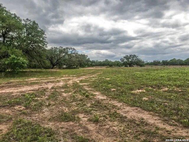 8933 County Road 401 Floresville, TX 78114