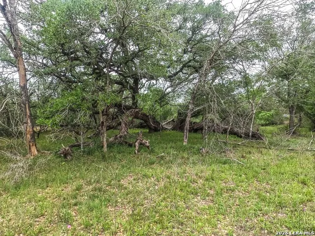 8933 County Road 401 Floresville, TX 78114