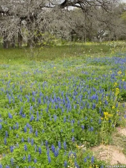 8933 County Road 401 Floresville, TX 78114