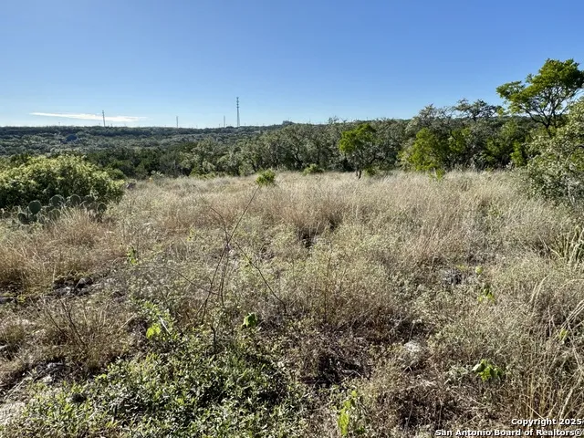 LOT 31 W CR 2801 Mico, TX 78056