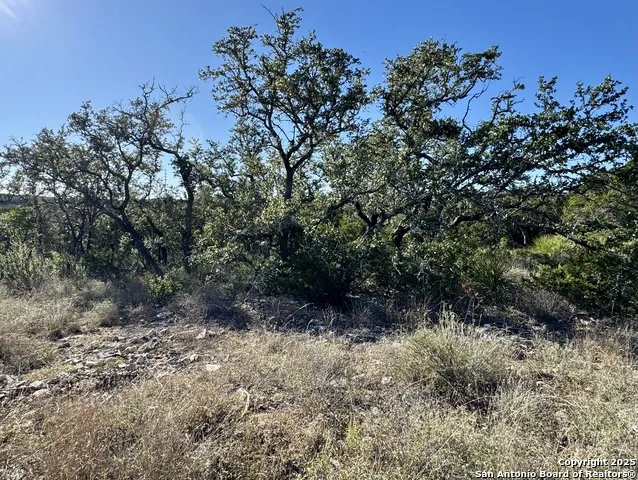 LOT 31 W CR 2801 Mico, TX 78056