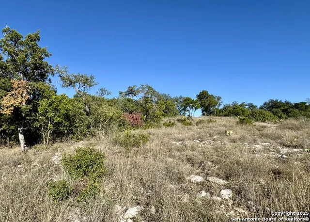 LOT 31 W CR 2801 Mico, TX 78056