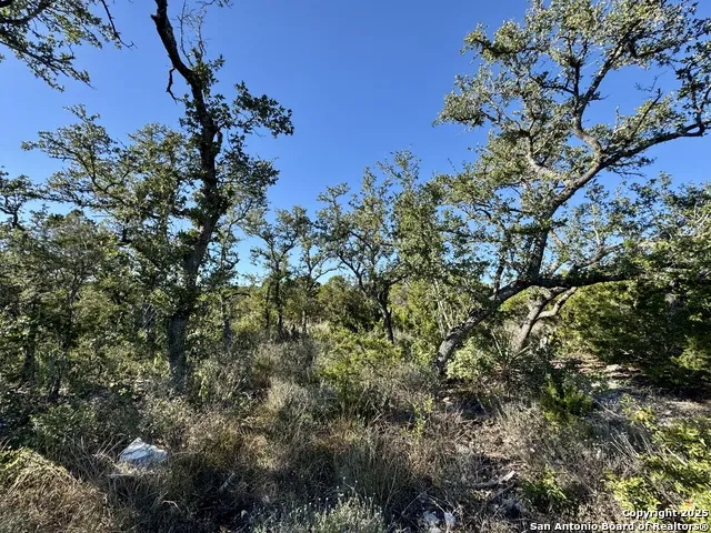 LOT 31 W CR 2801 Mico, TX 78056