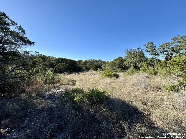 LOT 31 W CR 2801 Mico, TX 78056