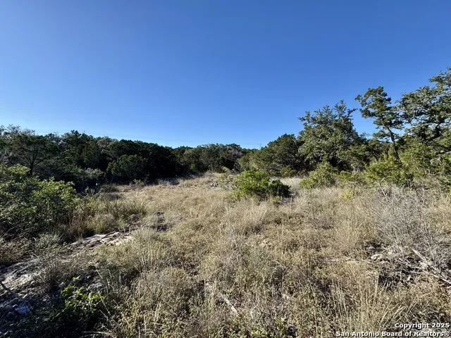 LOT 31 W CR 2801 Mico, TX 78056