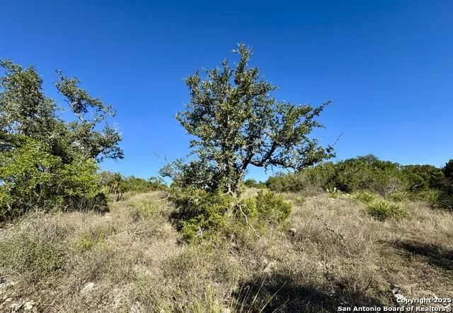 LOT 31 W CR 2801 Mico, TX 78056