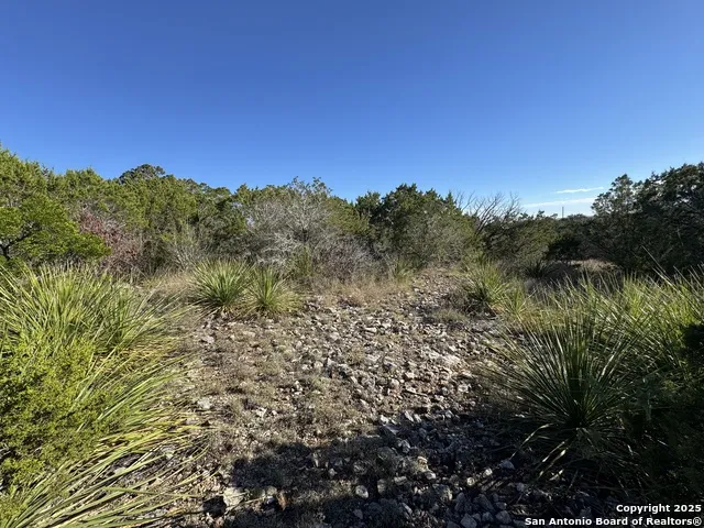 LOT 31 W CR 2801 Mico, TX 78056