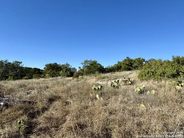 LOT 31 W CR 2801 Mico, TX 78056