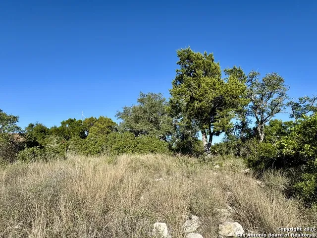 LOT 31 W CR 2801 Mico, TX 78056