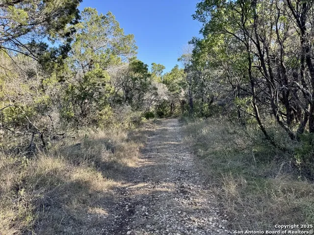 LOT 31 W CR 2801 Mico, TX 78056