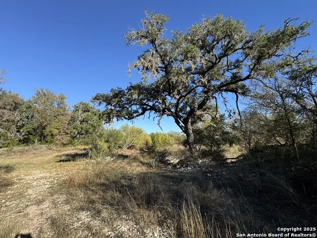 LOT 31 W CR 2801 Mico, TX 78056