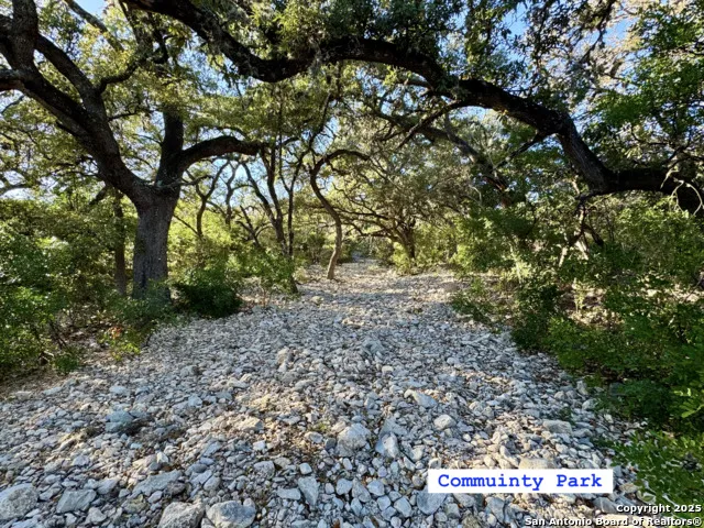 LOT 31 W CR 2801 Mico, TX 78056