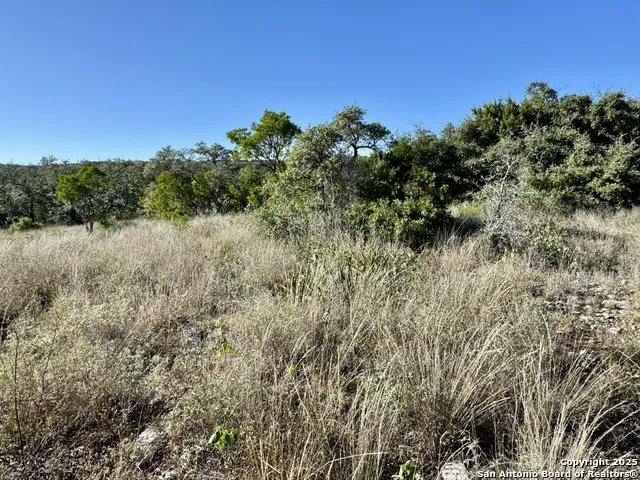 LOT 31 W CR 2801 Mico, TX 78056