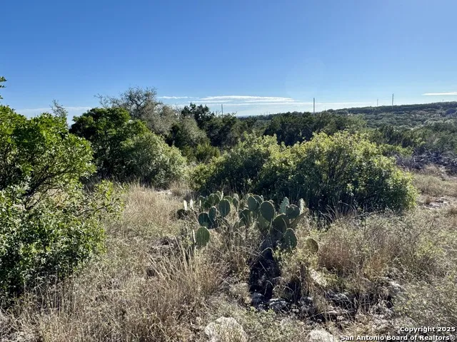 LOT 31 W CR 2801 Mico, TX 78056