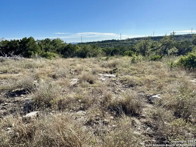 LOT 31 W CR 2801 Mico, TX 78056