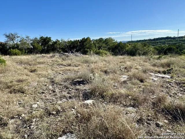LOT 31 W CR 2801 Mico, TX 78056