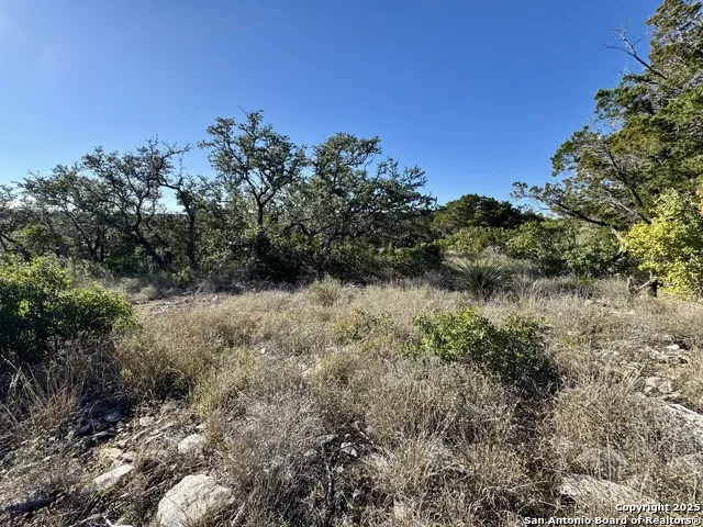 LOT 31 W CR 2801 Mico, TX 78056